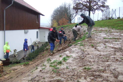 2007Anbau_DSCF5174