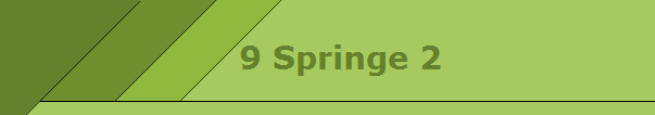 9 Springe 2