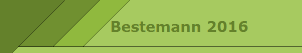 Bestemann 2016