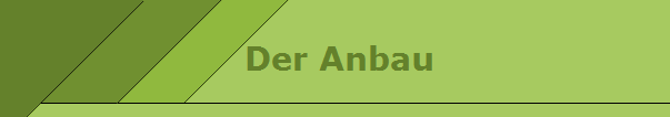 Der Anbau
