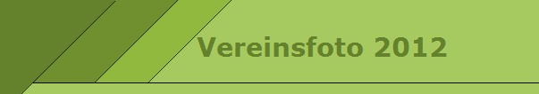 Vereinsfoto 2012